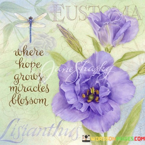 Where-Hope-Grows-Miracles-Blossom-Quotes.jpeg