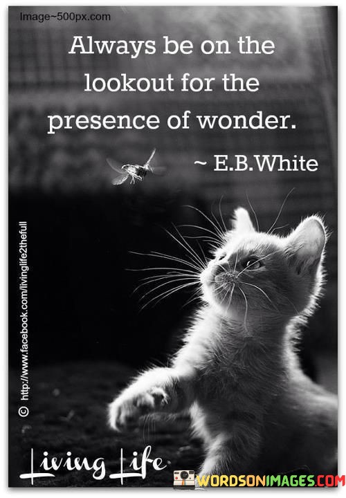 Alwaysbe-Be-On-The-Lookout-For-The-Presence-Of-Wonder-Quotes.jpeg