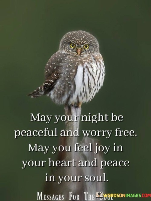 May-Your-Night-Be-Peaceful-And-Worry-Free-Quotes.jpeg