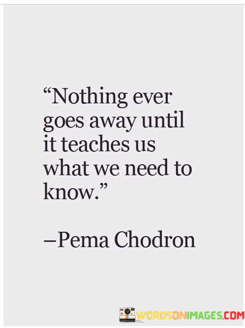 Nothing-Ever-Goes-Away-Until-It-Teaches-Us-What-We-Need-To-Know-Quotes.jpeg