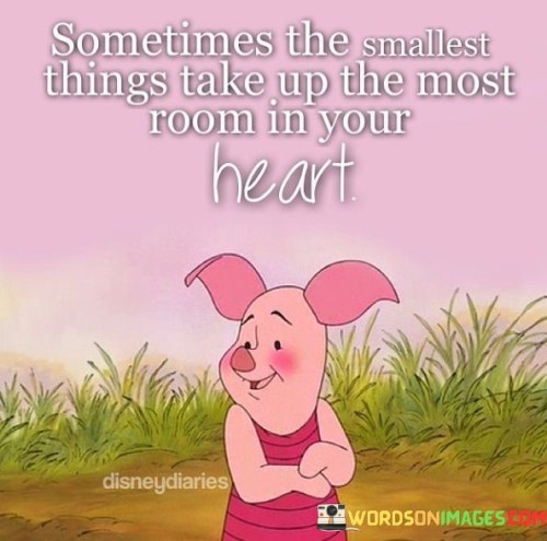 Sometimes-The-Smallest-Things-Take-Up-The-Most-Room-In-Your-Heart-Quotes.jpeg