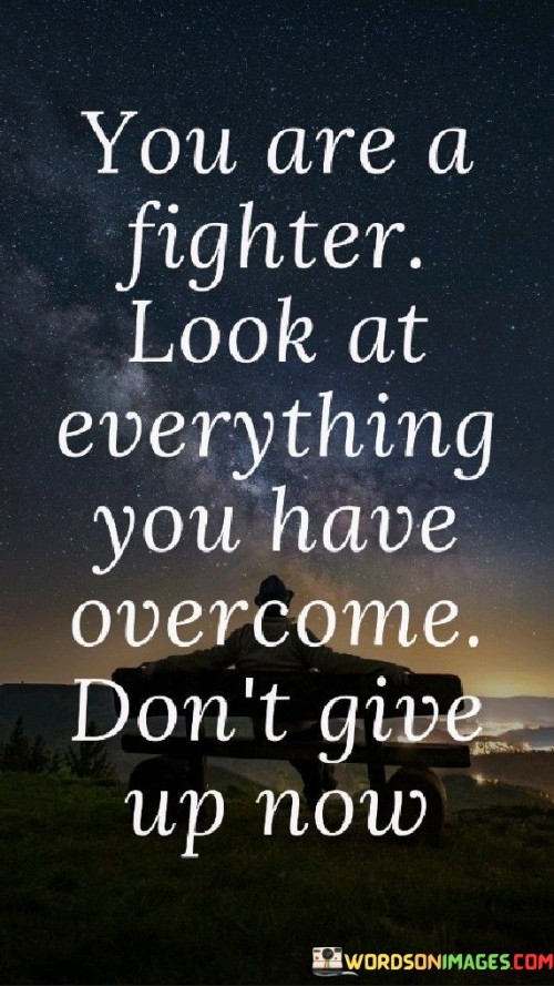 You-Are-A-Fighter-Look-At-Everything-You-Have-Overcome-Dont-Give-Quotes.jpeg