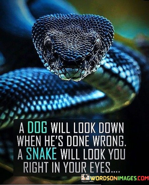A-Dog-Will-Down-When-Hes-Done-Wrong-Quotes.jpeg