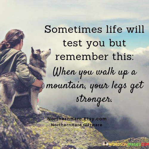 Sometimes-Life-Will-Test-You-But-Remember-This-When-You-Walk-Up-Quotes.jpeg