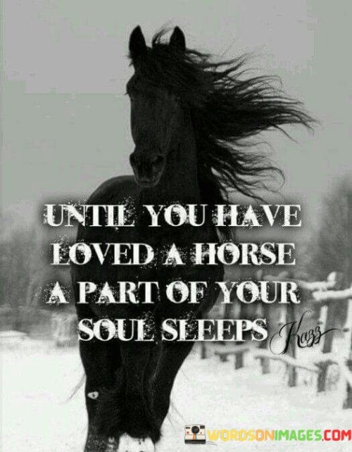 Until-You-Have-Loved-A-Horse-A-Part-Of-Your-Quotes.jpeg