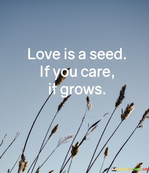 Love-Is-A-Seed-If-You-Care-It-Grows-Quotes.jpeg