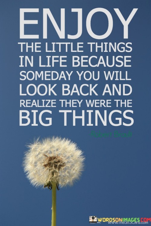 Enjoy-The-Little-Things-In-Life-Because-Someday-You-Will-Look-Back-And-Realize-They-Were-The-Big-Things-Quotes.jpeg