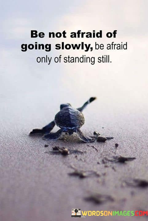 Be-Not-Afraid-Of-Going-Slowly-Be-Afraid-Only-Quotes.jpeg