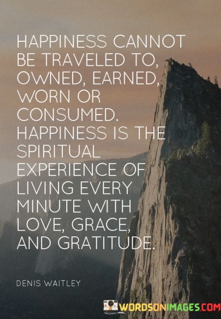 Happiness-Cannot-Be-Traveled-To-Owned-Earned-Worn-Or-Consumed-Quotes.jpeg