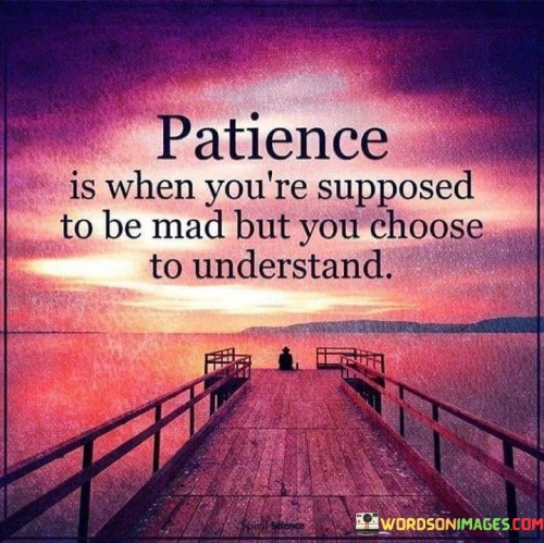 Patience-Is-When-Youre-Supposed-To-Be-Mad-Quotes.jpeg