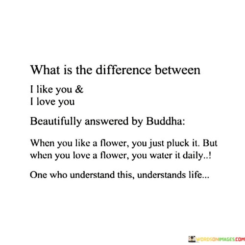 What-Is-The-Difference-Between-I-Like-You--I-Love-You-Quotes.jpeg