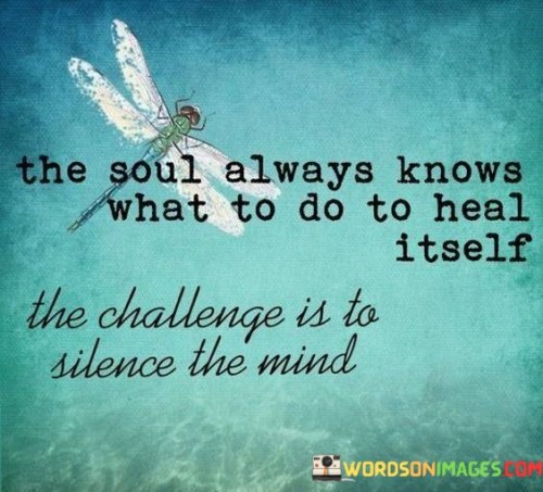 The-Soul-Always-Knows-What-To-Do-To-Heal-Itself-The-Challenge-Is-To-Silence-The-Mind-Quotes.jpeg