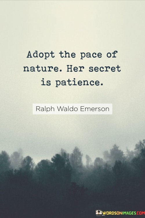 Adopt-The-Pace-Of-Nature-Her-Secret-Is-Patience-Quotes.jpeg