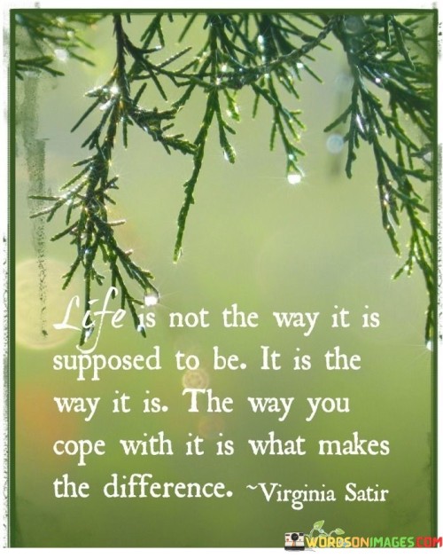 Life-Is-Not-The-Way-It-Is-Supposed-To-Be-It-Is-The-Way-It-Is-Quotes.jpeg
