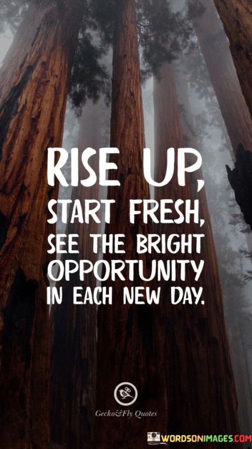 Rise-Up-Start-Fresh-See-The-Bright-Opportunity-Quotes.jpeg