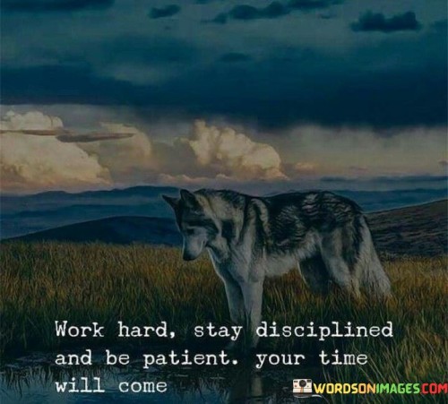 Work-Hard-Stay-Disciplined-And-Be-Patient-Your-Time-Will-Come-Quotes.jpeg