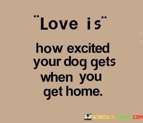 Love-Is-How-Excited-Your-Dog-Gets-When-You-Get-Home-Quotes.jpeg