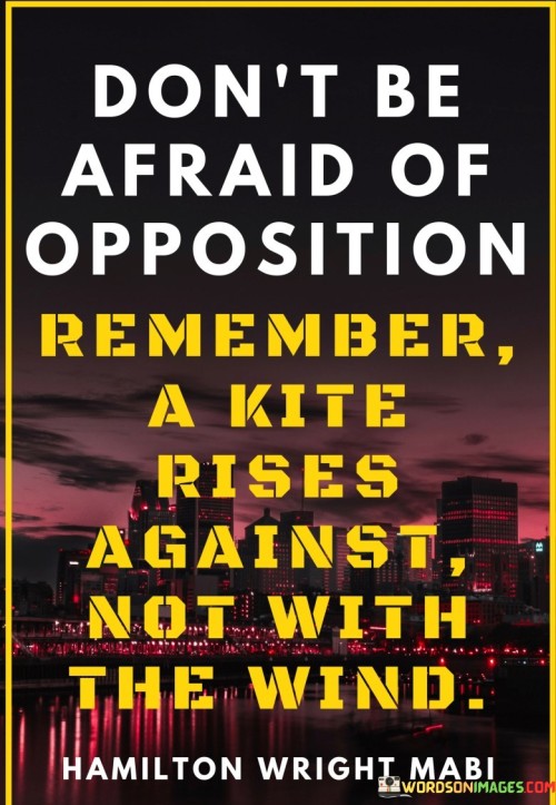 Dont-Be-Afraid-Of-Opposition-Remember-Quotes.jpeg