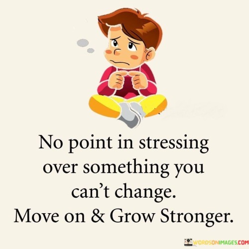 No-Point-In-Stressing-Over-Something-You-Quotes.jpeg