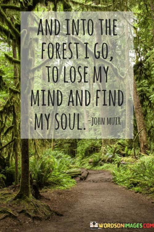 And-Into-The-Forest-I-Go-To-Lose-My-Mind-And-Find-My-Soul-Quotes.jpeg