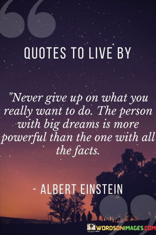 Never-Give-Up-On-What-You-Really-Want-To-Do-Quotes.jpeg