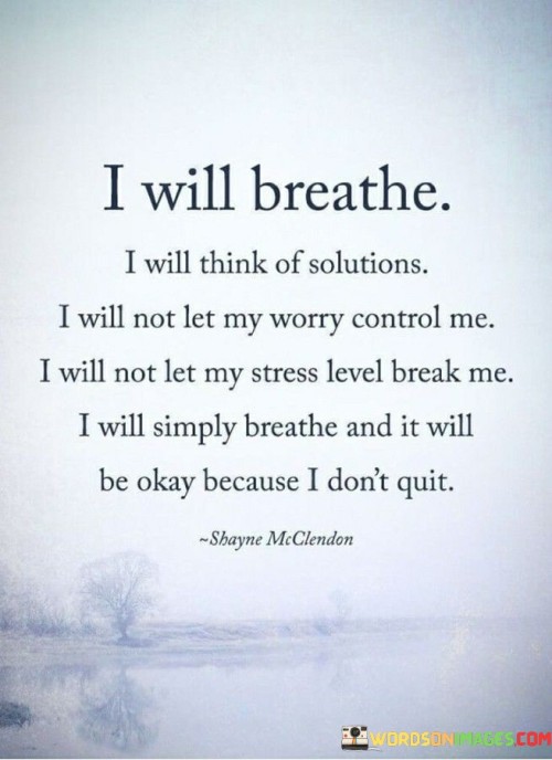 I-Will-Breathe-I-Will-Think-Of-Solutions-I-Will-Not-Let-My-Worry-Quotes.jpeg