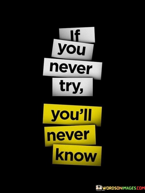 If-You-Never-Try-Youll-Never-Know-Quotes.jpeg
