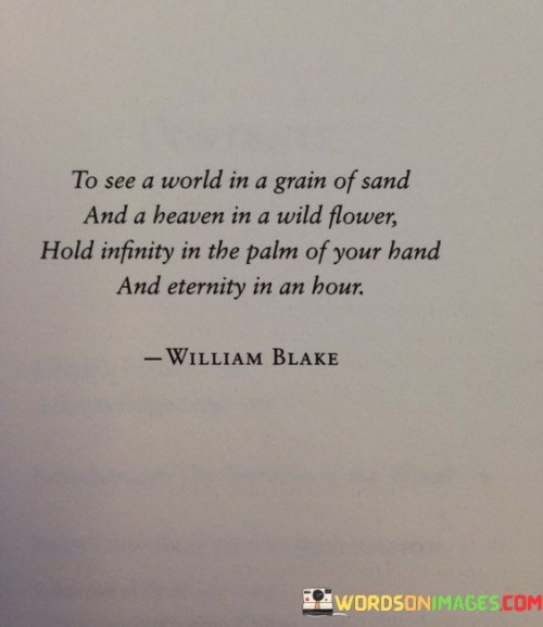 To-See-A-World-In-A-Grain-Of-Sand-And-A-Heaven-In-A-Wild-Flower-Quotes.jpeg