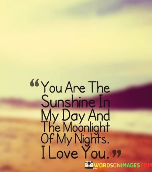 You-Are-The-Sunshine-In-The-Day-The-Moonlight-Of-My-Quotes.jpeg