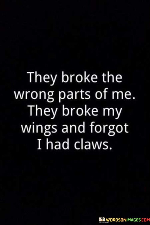 They-Broke-The-Wrong-Parts-Of-Me-Quotes.jpeg