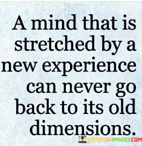 A-Mind-That-Is-Stretched-By-A-New-Experience-Can-Never-Go-Quotes.jpeg