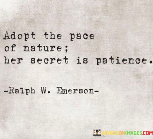 Adopt-The-Pace-Of-Nature-Her-Secret-Is-Patience-Quotes.jpeg
