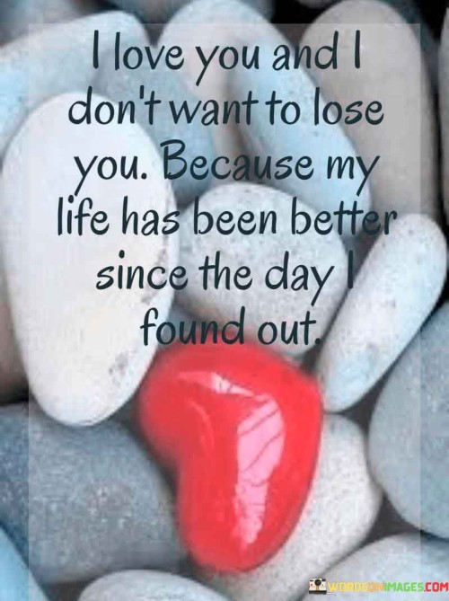 I-Love-You-And-I-Dont-Want-To-Lose-You-Because-My-Life-Has-Quotes.jpeg