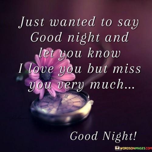 Just-Wanted-To-Say-Good-Night-And-Let-You-Know-I-Love-You-Quotes.jpeg