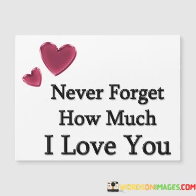 Never-Forget-How-Much-I-Love-You-Quotes.jpeg