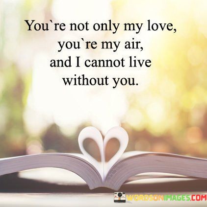 Youre-Not-Only-My-Love-Youre-My-Air-And-I-Cannot-Live-Quotes.jpeg