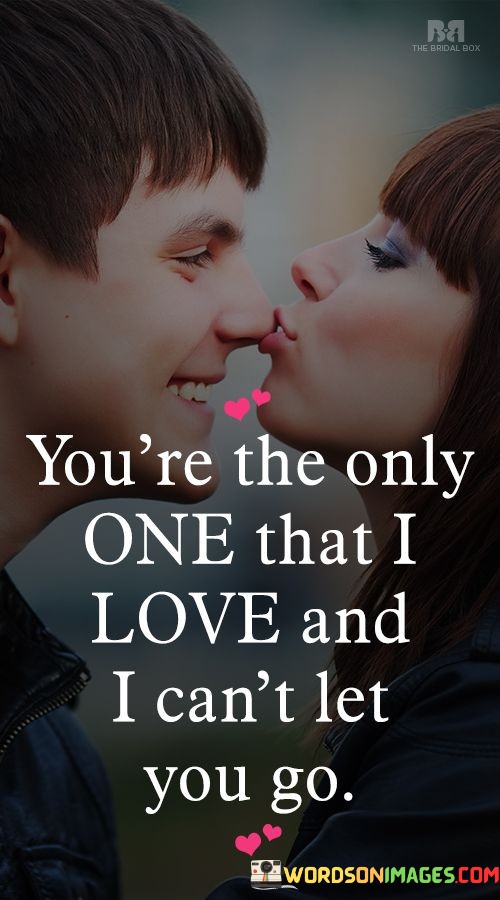 Youre-The-Only-One-That-I-Love-And-I-Cant-Let-You-Go-Quotes.jpeg