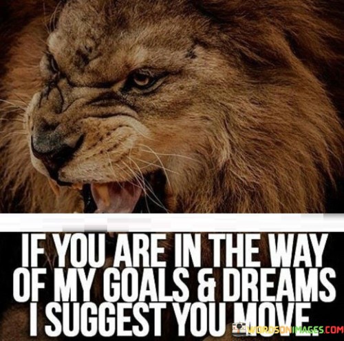 If-You-Are-In-The-Way-Of-My-Goals--Dreams-I-Suggest-You-Move-Quotes.jpeg