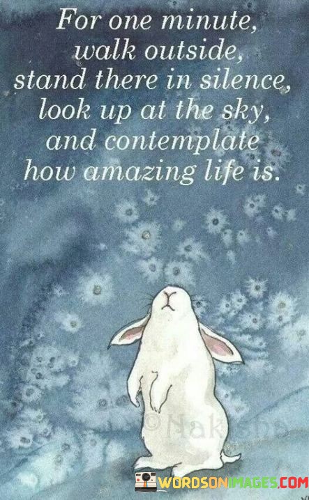 For-One-Minute-Walk-Outside-Stand-There-In-Silence-Look-Up-At-The-Quotes.jpeg