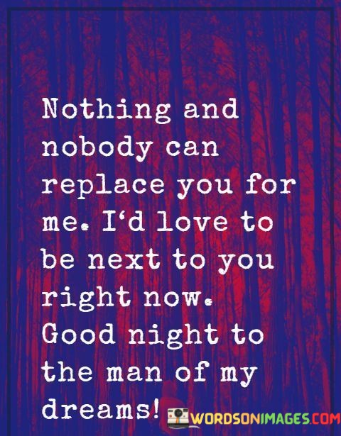 Nothing-And-Nobody-Can-Replace-You-For-Me-Id-Love-To-Be-Next-Quotes.jpeg