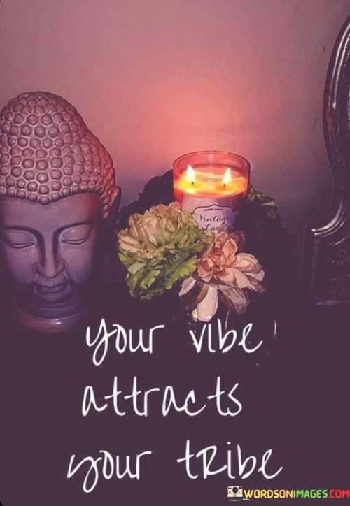 Your-Vibe-Attracts-Your-Tribe-Quotes.jpeg