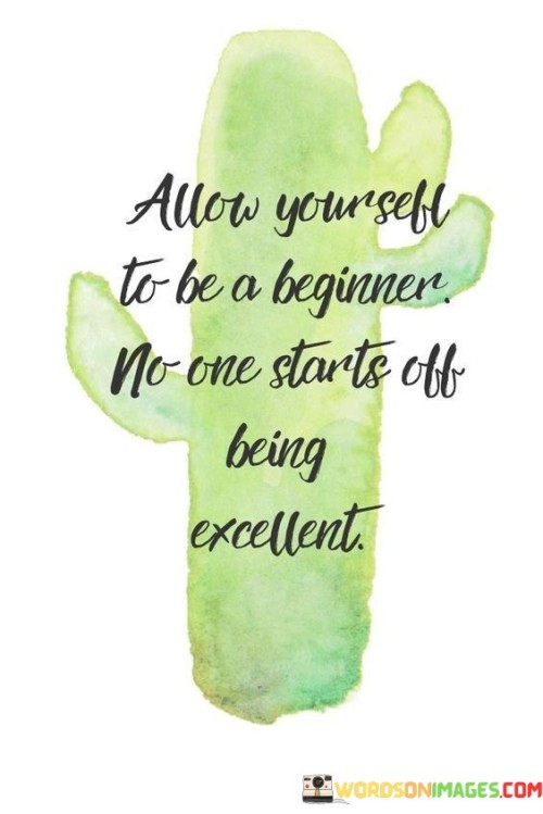 Allow-Yourself-To-Be-A-Beginner-No-One-Starts-Off-Being-Excellent-Quotes.jpeg