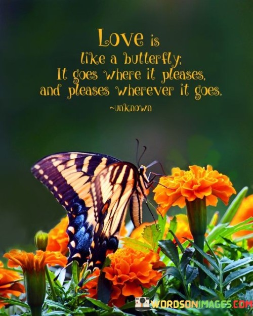 Love-Is-Like-A-Butterfly-It-Goes-Where-It-Pleases-Quotes.jpeg