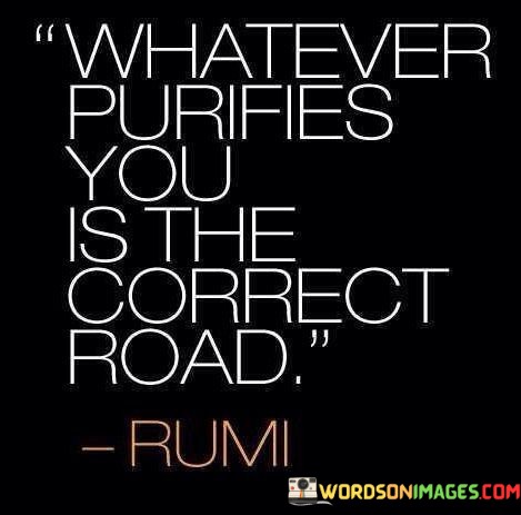 Whatever-Puries-You-Is-The-Correct-Road-Quotes.jpeg
