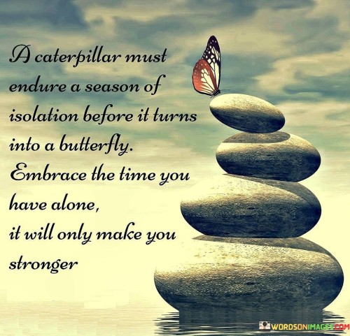 A-Caterpillar-Endure-A-Season-Quotes.jpeg