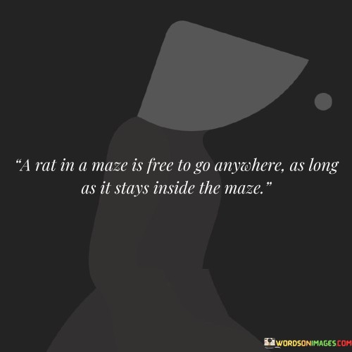 A-Rat-In-A-Maze-Is-Free-To-Go-Anywhere-As-Long-Quotes.jpeg