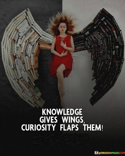 Knowledge-Gives-Wings-Curiosity-Flaps-Them-Quotes.jpeg