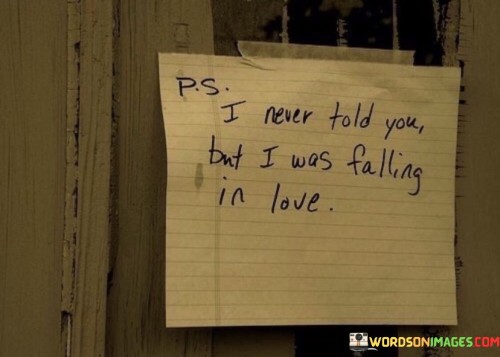 P.s-I-Never-Told-You-But-I-Was-Falling-Quotes.jpeg