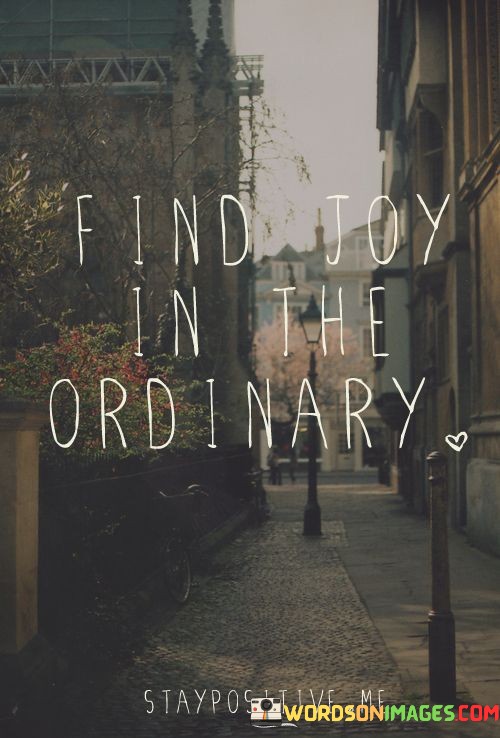 Find-Joy-In-The-Ordinary-Quotes.jpeg