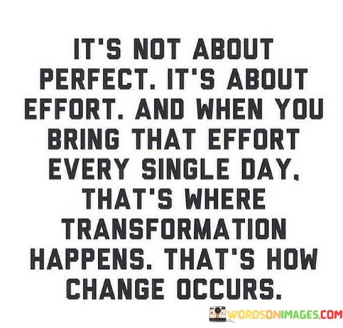 Its-Not-About-Perfect-Its-About-Quotes.jpeg
